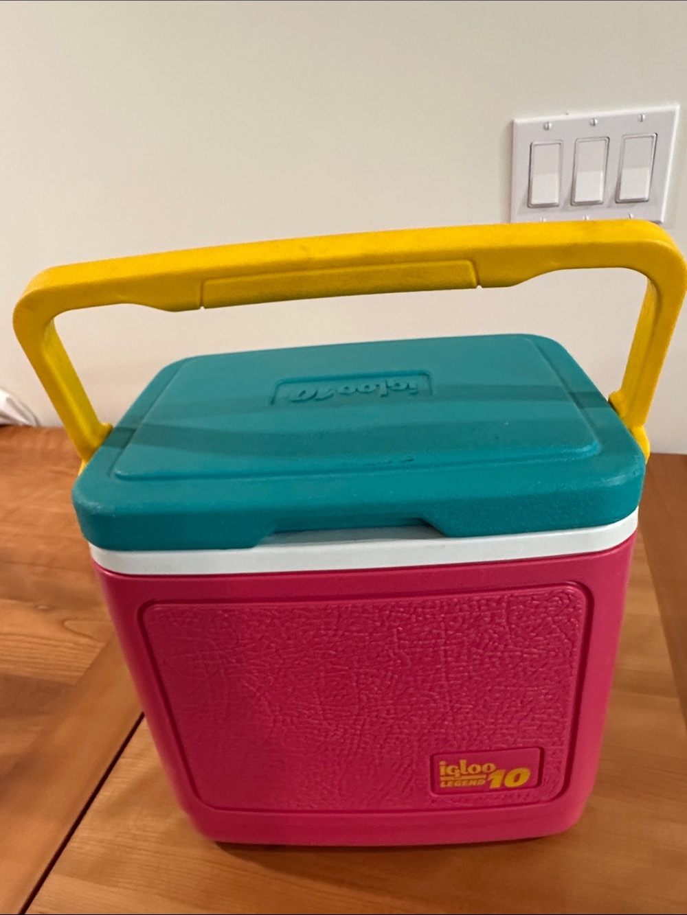 VTG Retro 90s Igloo Legend 10 Pink/Teal Cooler Ice Chest Beach 'Watermelon'